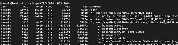 HANA database services