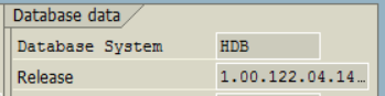 SAP HANA database version