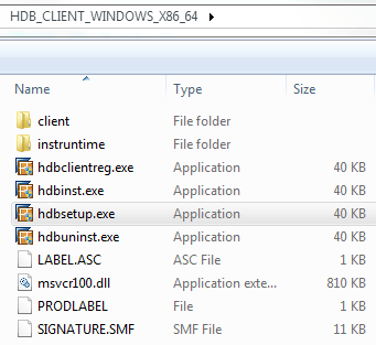 hdbsetup.exe for SAP Hana Express Edition Client tool