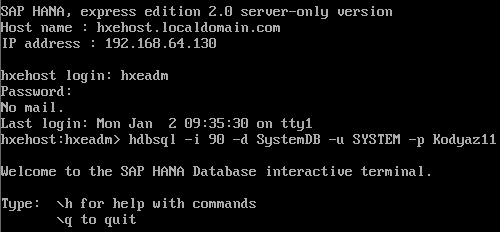 hdbsql SAP HANA Database interactive terminal