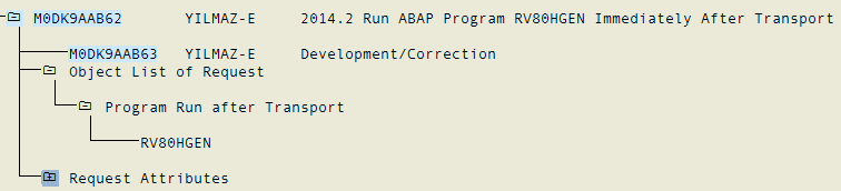 RV80HGEN ABAP Program Run after Transport