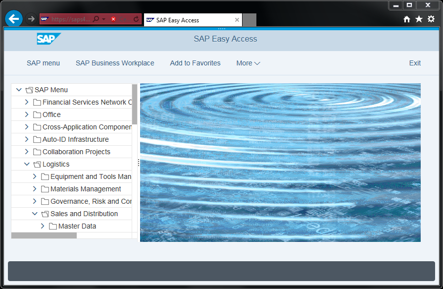 SAP Belize theme on S/4HANA Web GUI