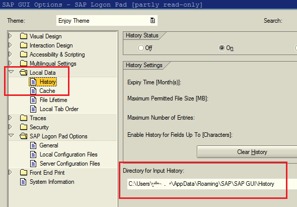 SAP GUI Input History settings for backspace list