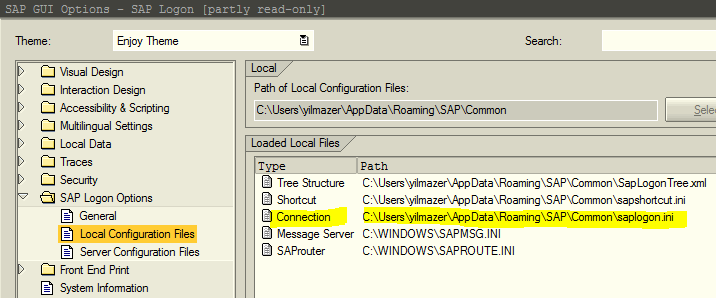 saplogon.ini local configuration file