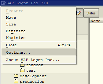 SAP Logon Pad options