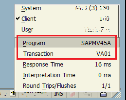 ABAP program name and SAP transaction code on a SAP GUI screen