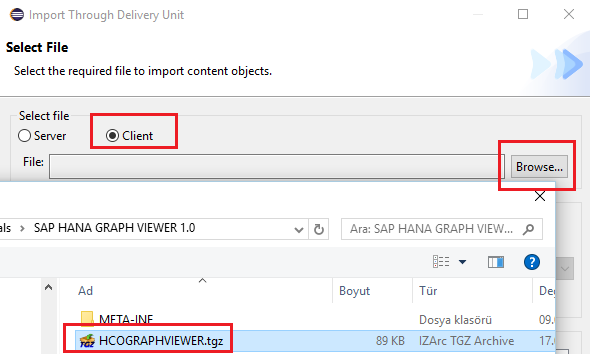 import Graph Viewer delivery unit to SAP HANA