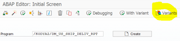 variants of an ABAP program