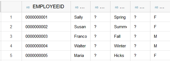 zero padding on sample SAP HANA database table content