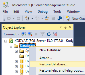 restore sample database for SQL Server 2016 from backup file