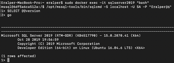 connect docker container to execute SQLCmd query