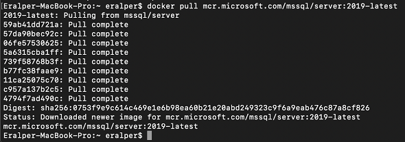 en son SQL Server 2019 sürümününün Docker imajını indirmek