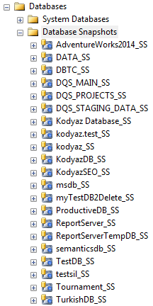 snapshots for all existing databases on SQL Server