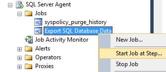 execute SQL job manually on SSMS