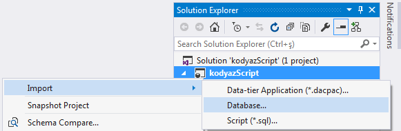 import database in Visual Studio Solution Explorer window