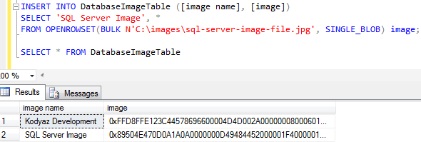 save image in SQL Server database table