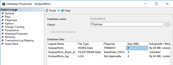 SQL Server data files for FileStream feature