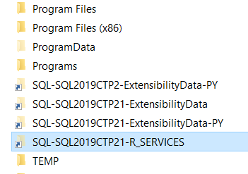 SQL Server R Services folder
