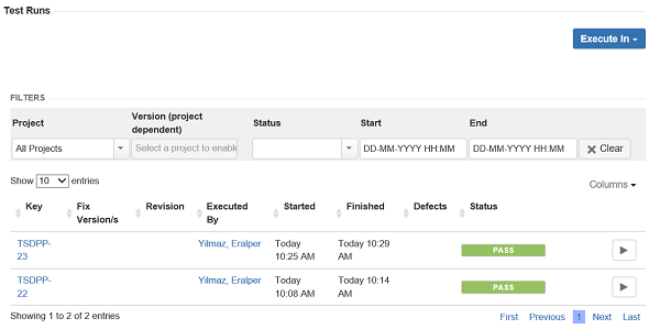 test execution results under Test Runs section