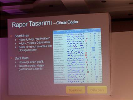 SQL Reporting Services Sparklines and Data Bars