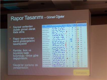 SQL Server Reporting Services Indicators