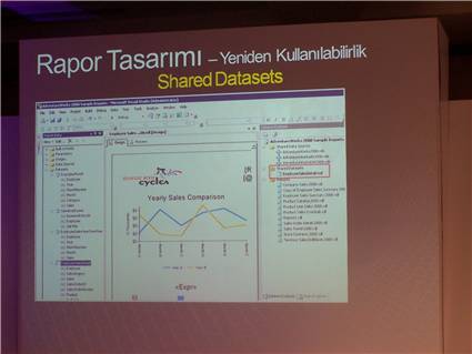 SQL Server 2008 R2 Reporting Services Shared Datasets