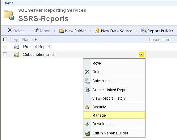 sql server 2016 report builder